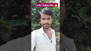 👍 Tumse bana mera jeevan song music vlog shorts [upl. by Dyolf]