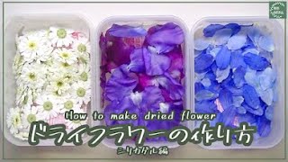 【レジン素材】ドライフラワーの作り方 シリカゲル編 How to make dried flowers Silica gel edition [upl. by Akemahs740]