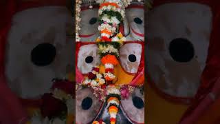 Jay shree Jagannath 🙏♥️🙏youtube viralshorts jayjagannathpuri shorts abinashnayak2997 [upl. by Paugh]