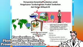 Certificate Fumigation Phytosanitary Prosedur Di Badan Karantina Ekspor Impor [upl. by Nosauq202]