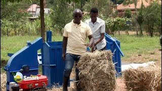 Hay amp Silage Production Which Pasture Grass Is Best For Cows  FARM SMART [upl. by Annabela]