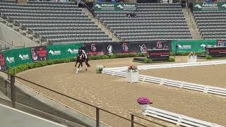 Wren US Dressage Finals [upl. by Nothsa708]