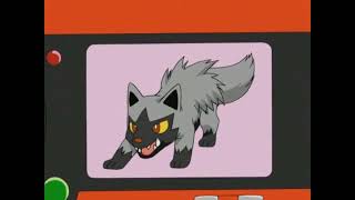 Poochyena Pokédex Entrywmv [upl. by Prissie]