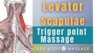 Trigger Point Massage of Levator Scapulae [upl. by Birmingham]