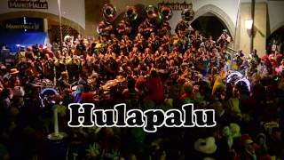 Hulapalu  Ringmurechutze  Fastnacht Murten 2017 [upl. by Okkin]