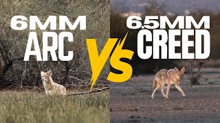 6MM ARC VS 65MM CREED  4K FOOTAGE  WHICH ROUND IS BETTER FOR COYOTES [upl. by Swithin]