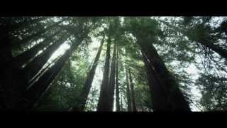 Big Sur Movie  Official Trailer [upl. by Oulman]