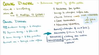 Malabsorption Syndrome [upl. by Yvehc]