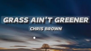 Lyrics Chris brown  grass aint greener mp3 lyrics [upl. by Dor]