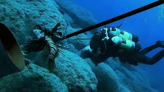 Lionfish Removal Cyprus  Akrotiri  Agkyres [upl. by Etnasa284]