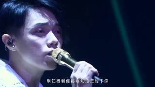 張敬軒 Hins Cheung  遙吻 Hins Live in Passion 2014 [upl. by Euqinad318]