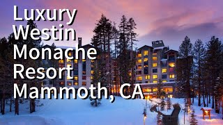 The Westin Monache Resort Review  Luxury Mountain Getaway [upl. by Seligman]