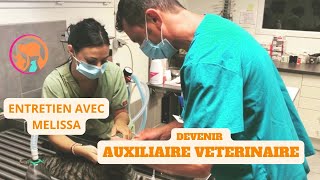 DEVENIR AUXILIAIRE VETERINAIRE ENTRETIEN AVEC MELISSA [upl. by Andree]