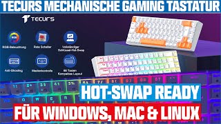 TECURS Mechanische Gaming Tastatur für PC Mac amp Linux  TECURS KB510A HotSwapFähiges Keyboard [upl. by Billy60]