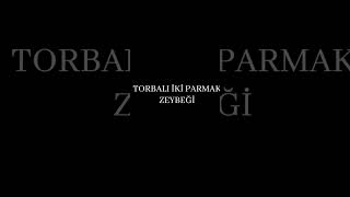 Torbalı iki parmak zeybeği tam hali kanalda [upl. by Bindman]