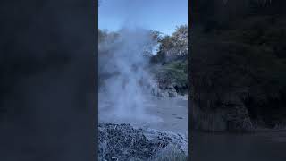 Waiotapu Mud Pool [upl. by Ecnarf]