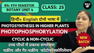 Cyclic and Noncyclic PhotophosphorylationPhotosynthesis in Higher PlantsBSc 5th Semester BOTANY [upl. by Arny]