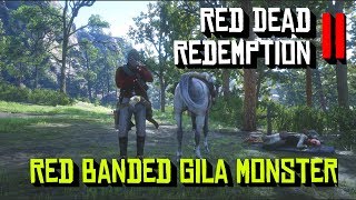 Red Dead Redemption 2 Red banded Gila Monster locations [upl. by Horner353]