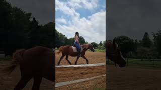 Is he lame dressage horse horseriding shortvideos equestrain horsebackriding dressagelife [upl. by Amej]