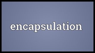 Encapsulation Meaning [upl. by Mahan]