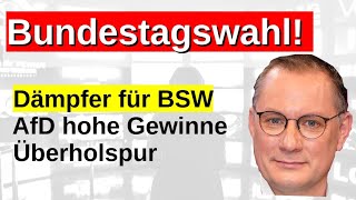 Bundestagswahl Sonntagsfrage Prognose AfD Gewinner Hochrechnung Wahlsonntag Scholz abgestraft [upl. by Loeb]