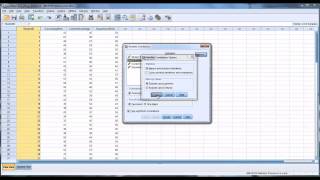 Correlation in SPSS [upl. by Caldwell404]