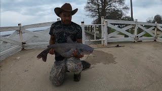 HUGE CATFISH CAUGHT OUT THE LAKE ll Hunt For The Blue Catfish ll [upl. by Chev]