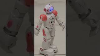 Cady Wida RC Interactive Robot [upl. by Naihtsirc133]