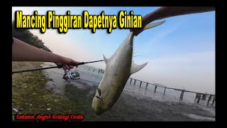 SABC43 ARDY Ikan Yang Terlalu Berat Sampai Saya Tarik Ke Pasiran 😱  Ultralight Fishing [upl. by Prendergast]