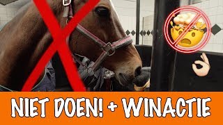 Doe dit NOOIT met paarden  PaardenpraatTV [upl. by Nomelif]