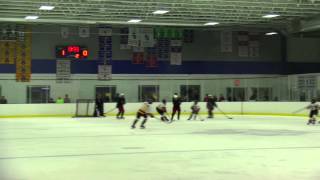 ADMIRALS HOCKEY CLUB PW AA TOURNAMENT TEAM 2014 VS WOLF PACK [upl. by Gayner673]