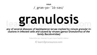 Pronunciation of Granulosis  Definition of Granulosis [upl. by Brynn437]