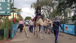 The Royal Show  Pietermaritzburg [upl. by Llerrah]