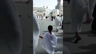 umrah vlog youtubeshorts makkah🕋umrah in ramadan👳🤲 shorts ytshorts youtube ytshort yt [upl. by Jacquie]