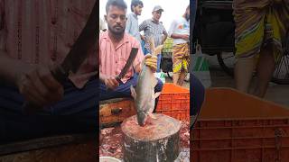 Amazing Great Delicious Pangas Fish Cutting Techniques  Fish Cutting Skills [upl. by Ariaet]