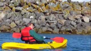 Guided Kayaking Tours In Kachemak Bay State Park  Central Charters amp Tours  Homer Alaska [upl. by Caron617]