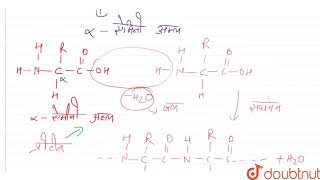 किसी प्रोटीन की प्राथमिक संरचना है  12  जैव  अणु  CHEMISTRY  NCERT FINGERTIPS HINDI  Doub [upl. by Belia]