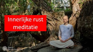 Begeleide meditatie 30min [upl. by Mickelson460]