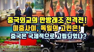 중국외교의 만방래조 전격전미중사이 독일의 고민은중국은 국제적으로 고립되었나 [upl. by Atnoved184]