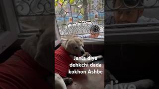 Janla Diye Dhkchi Dada Kokhn Ashb🦧 bollywood love song follow viralsong doglover [upl. by Ylekalb]