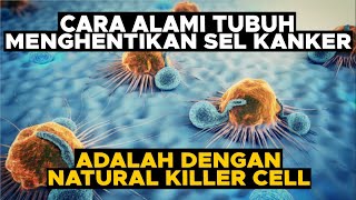 Cara Alami Tubuh Menghentikan Sel Kanker adalah dengan Natural Killer Cell [upl. by Iznyl186]