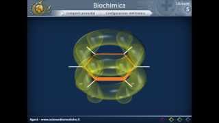 Biologia 05  Nozioni di biochimica strutturale [upl. by Teik]