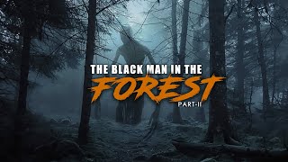 Dark Forest Mysteries That Will Leave You Speechless [upl. by Mailli]