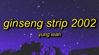 Yung Lean  Ginseng Strip 2002 Lyrics quotbitches come and go brahquot TikTok Song [upl. by Olen]