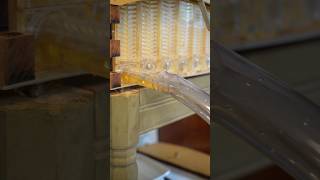 Finally harvesting honey from the Flow Hive Pt3 beekeeping bees flowhive honey honeyharvest [upl. by Sama779]