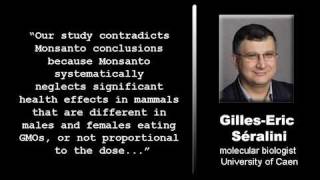 Monsanto GMOs Linked To Organ Failurem4v [upl. by Nue]