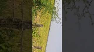 Agriculture Land For Sale in Khammam District Telangana [upl. by Freedman]