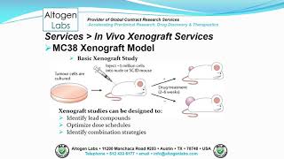 Altogen Labs MC38 Xenograft Service Colon Cancer [upl. by Helfant711]