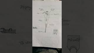 Micropipette observation practical and uses BSc Zoology zoology biotech biology lab practical [upl. by Ominoreg348]