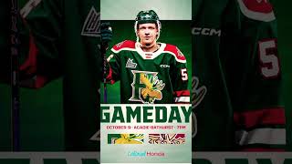 Halifax Mooseheads vs Bathurst hockey mooseheads sports shorts youtubeshorts youtube ￼ [upl. by Eelrebmyk]